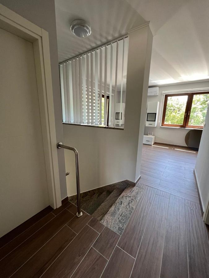 Apartman David Rijeka Eksteriør billede
